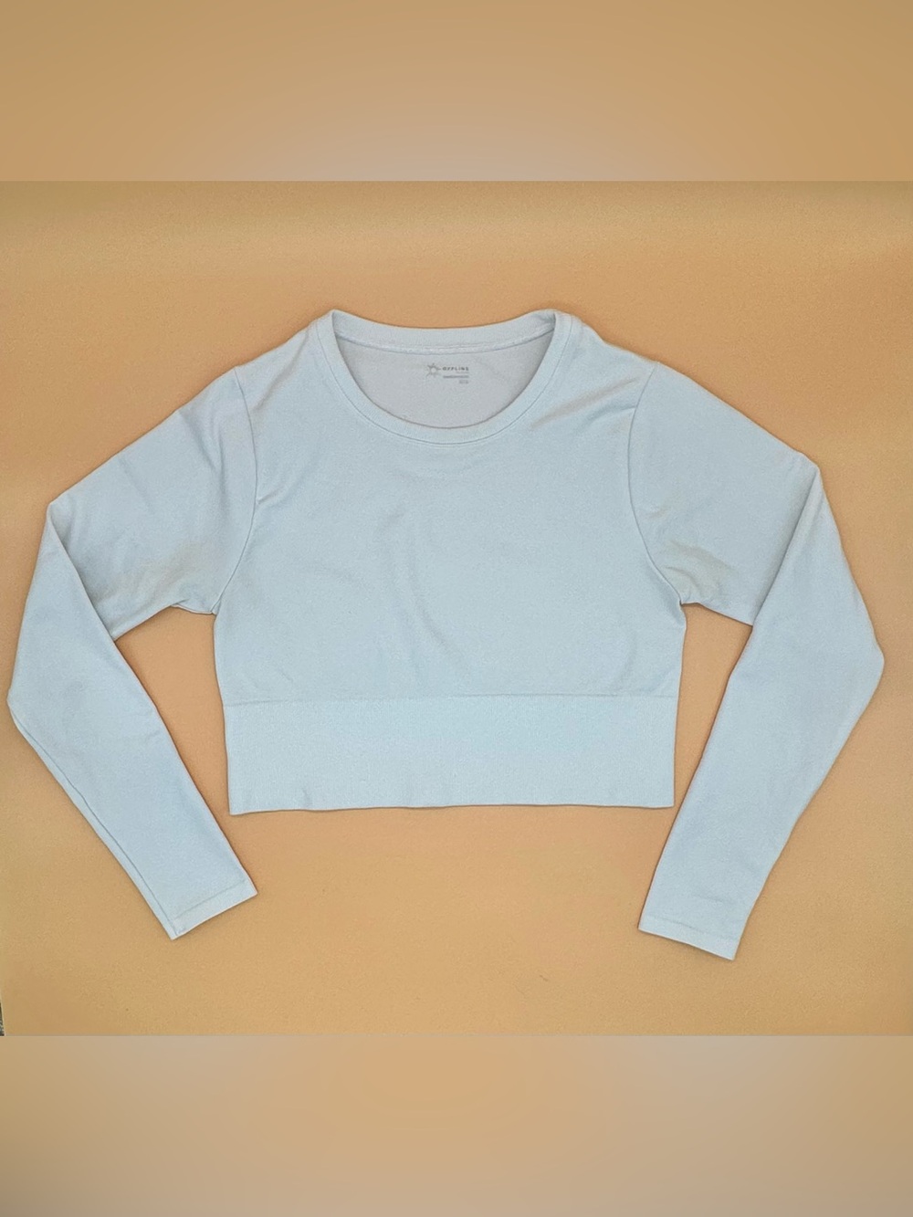 OFFLINE by Aerie Sidewalk Seamless Long Sleeve Crop Top White-M